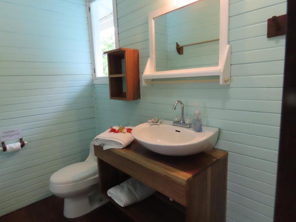 Sand Dollar Beach Bed & Breakfast ボカス・タウン エクステリア 写真