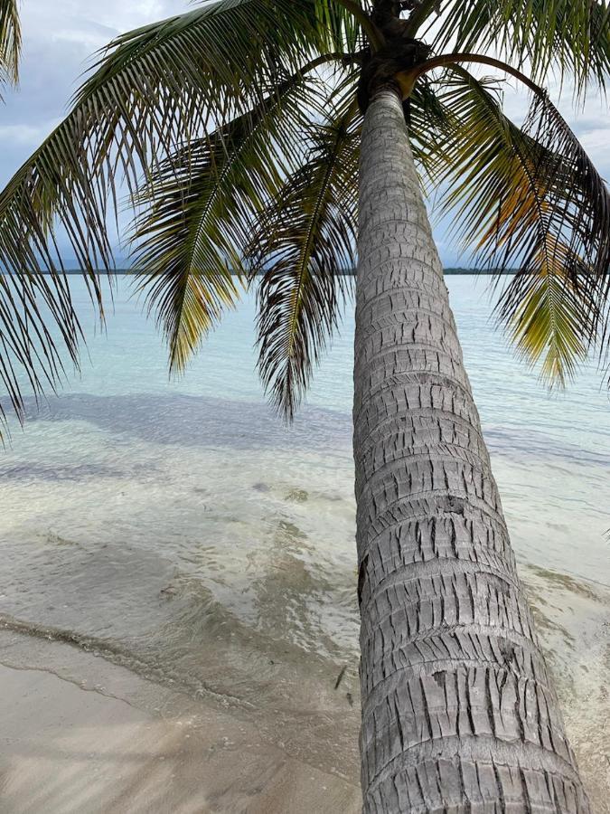 Sand Dollar Beach Bed & Breakfast ボカス・タウン エクステリア 写真