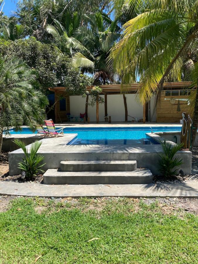 Sand Dollar Beach Bed & Breakfast ボカス・タウン エクステリア 写真