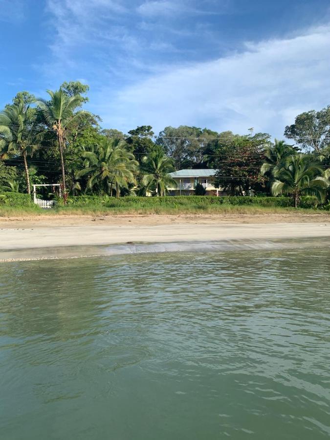 Sand Dollar Beach Bed & Breakfast ボカス・タウン エクステリア 写真