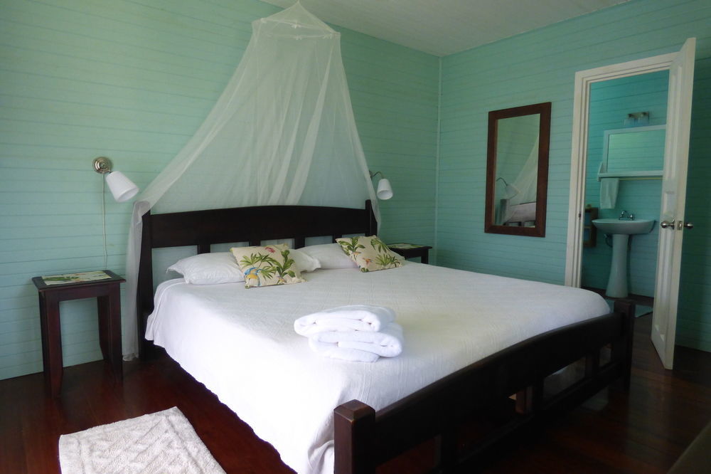 Sand Dollar Beach Bed & Breakfast ボカス・タウン エクステリア 写真