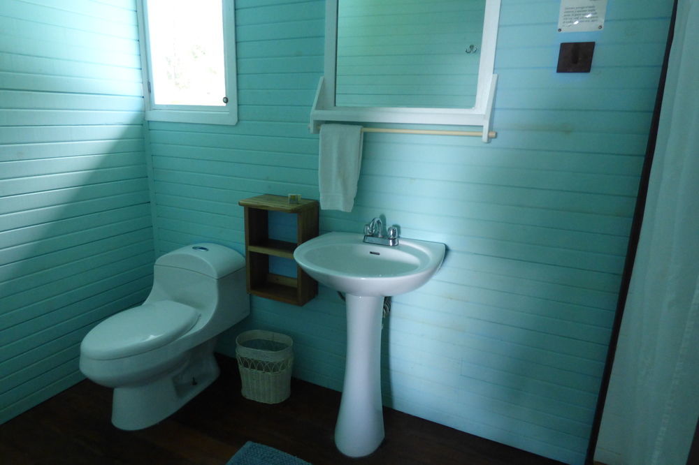 Sand Dollar Beach Bed & Breakfast ボカス・タウン エクステリア 写真