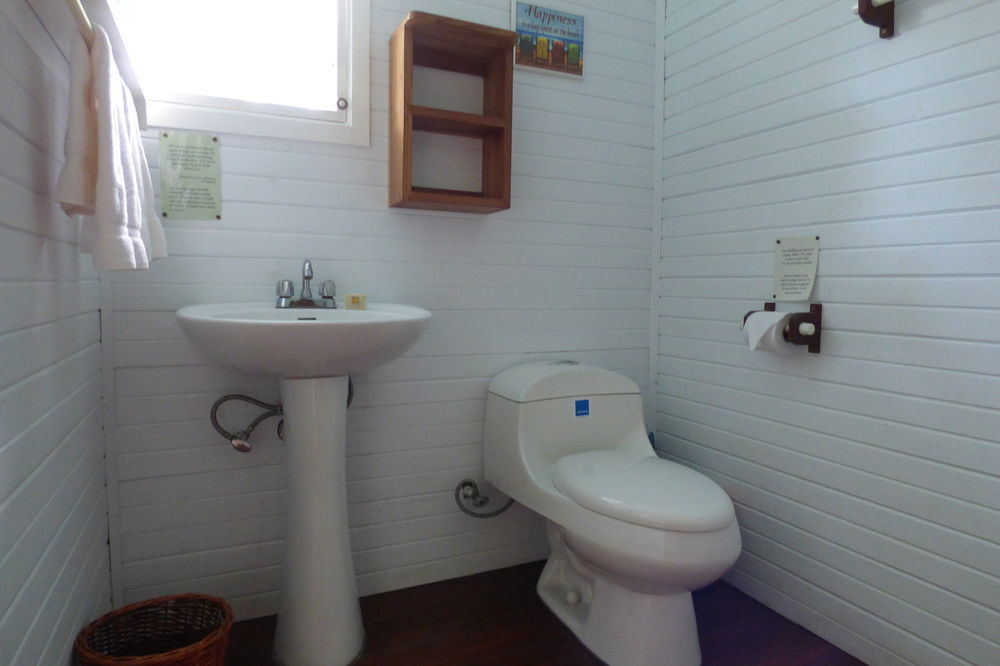 Sand Dollar Beach Bed & Breakfast ボカス・タウン エクステリア 写真